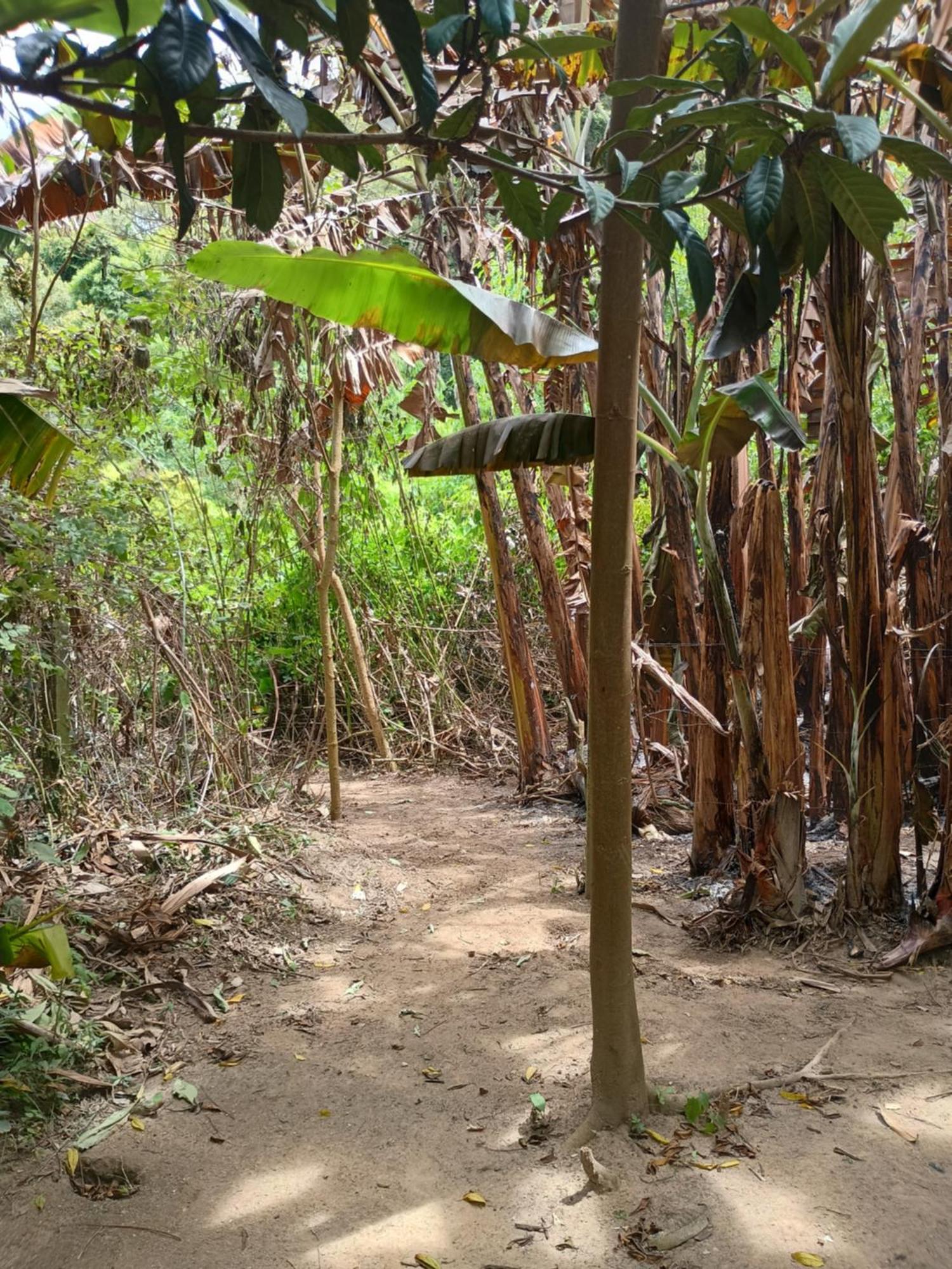 Cantinho Da Paz Villa Sao Roque  Luaran gambar