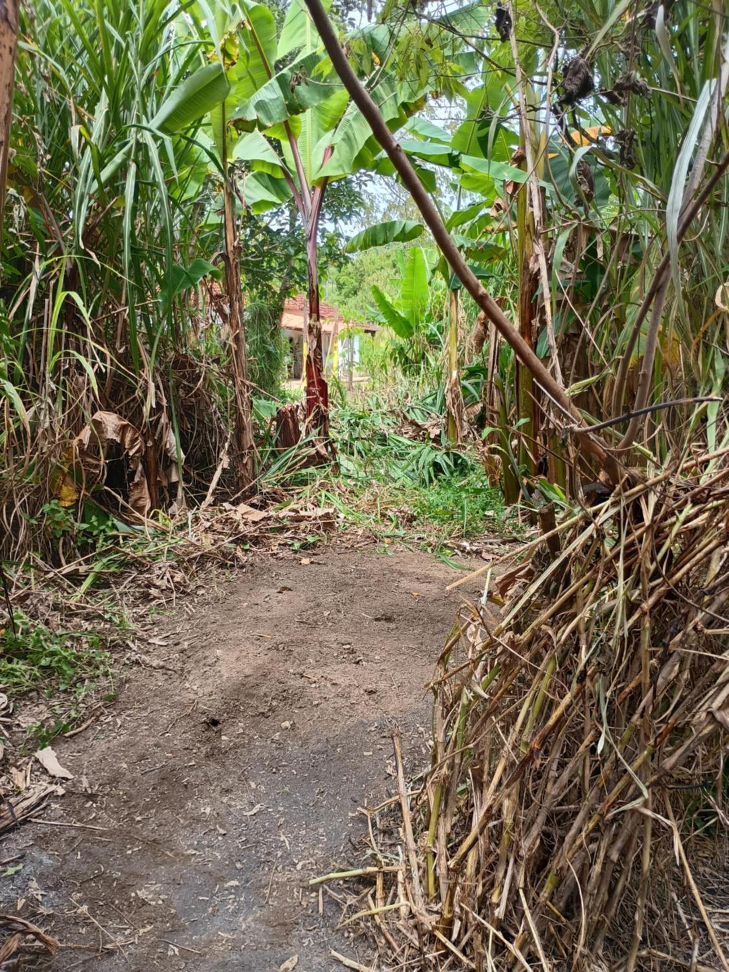 Cantinho Da Paz Villa Sao Roque  Luaran gambar